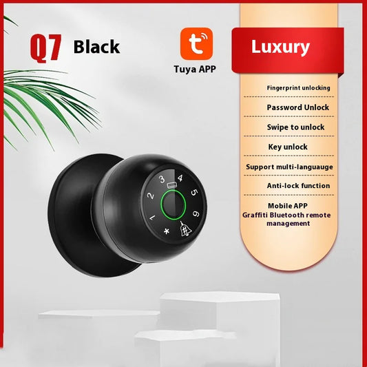 Secure Access SmartLock